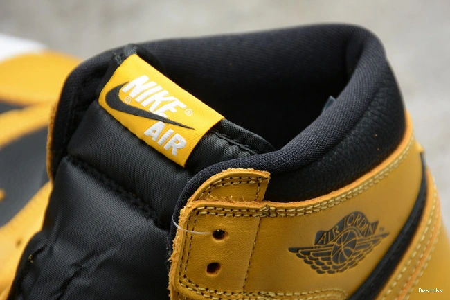 Rep BK air “pollen